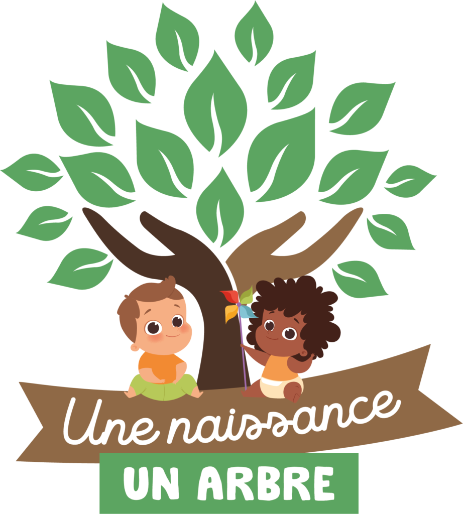 Une naissance, un arbre