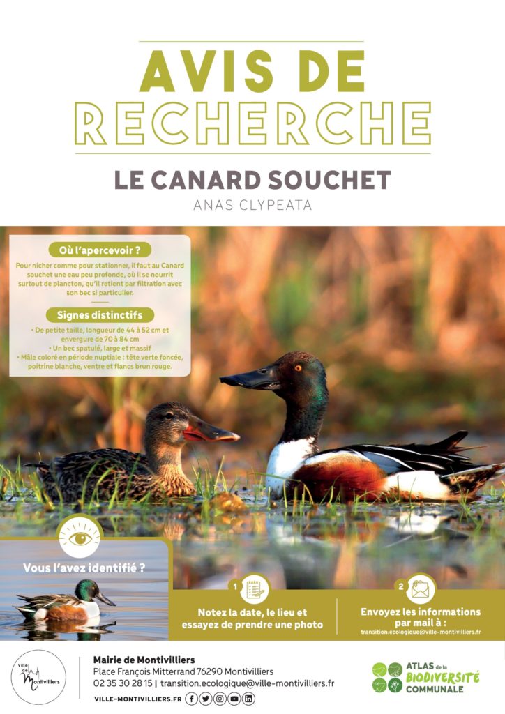 Biodiversité : avis de recherche
