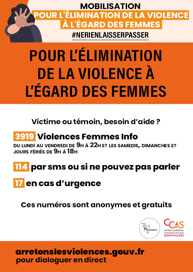 Mobilisation pour l'élimination de la violence à l'égard des femmes