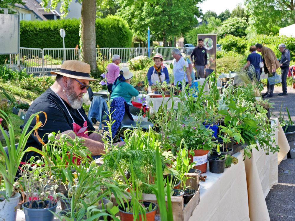 Troc aux plantes