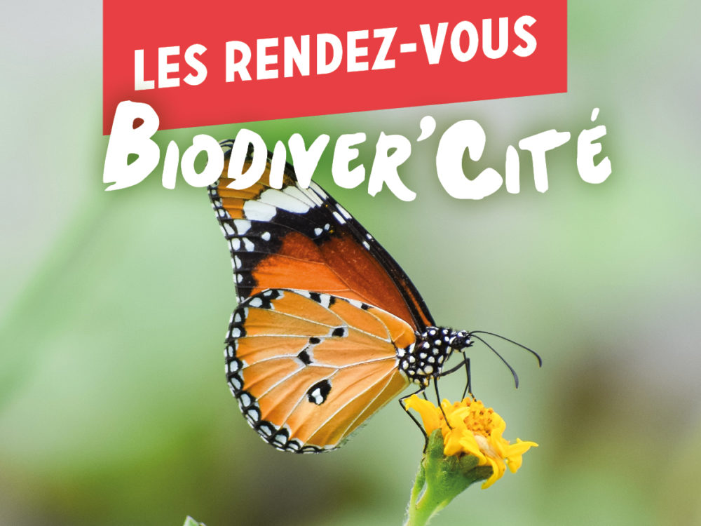 Sorties sciences participatives