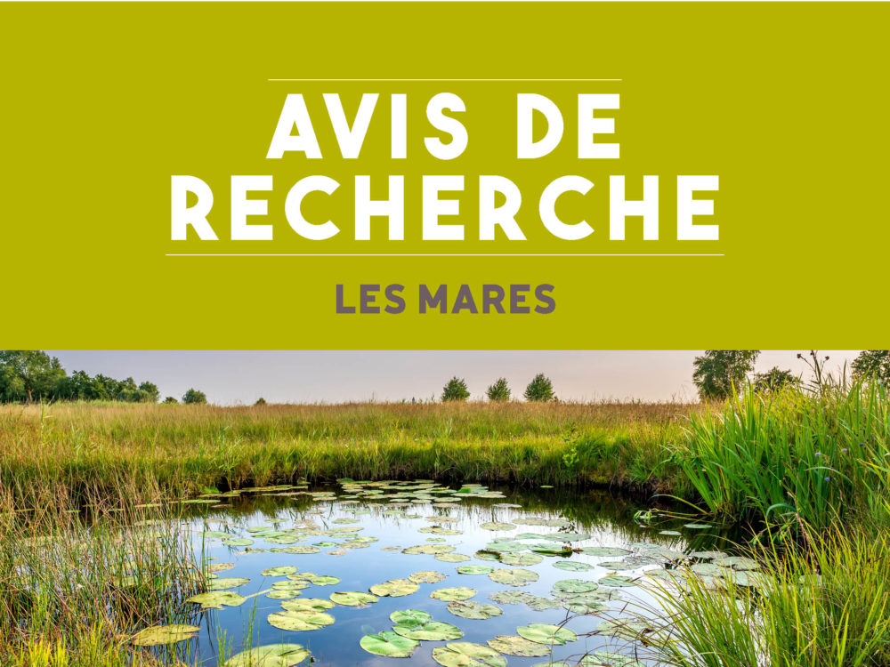 Avis de recherche : Les Mares