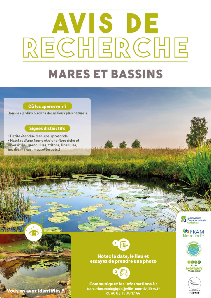 Les mares de Montivilliers 